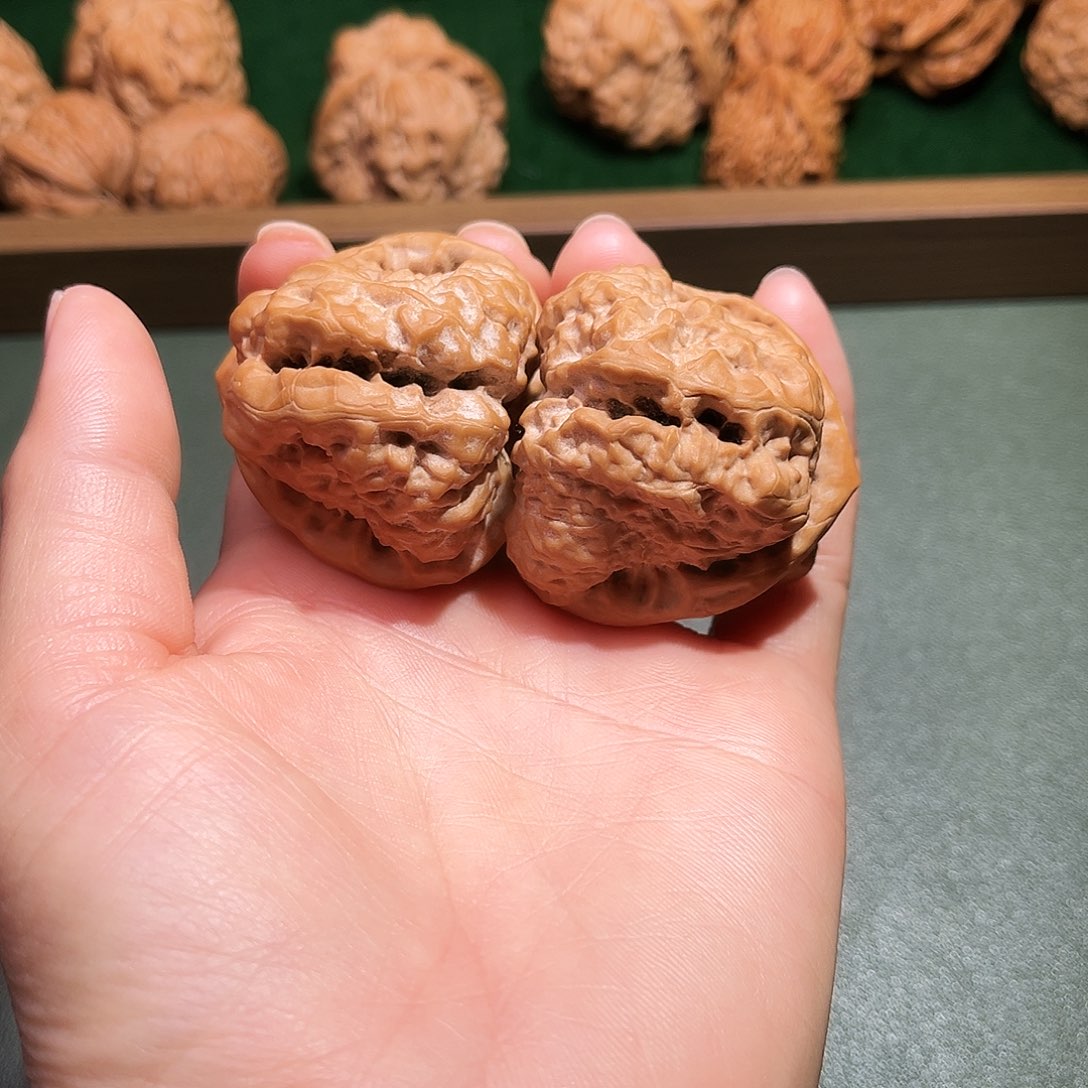 核桃涞水山地果蛤莫头43尺