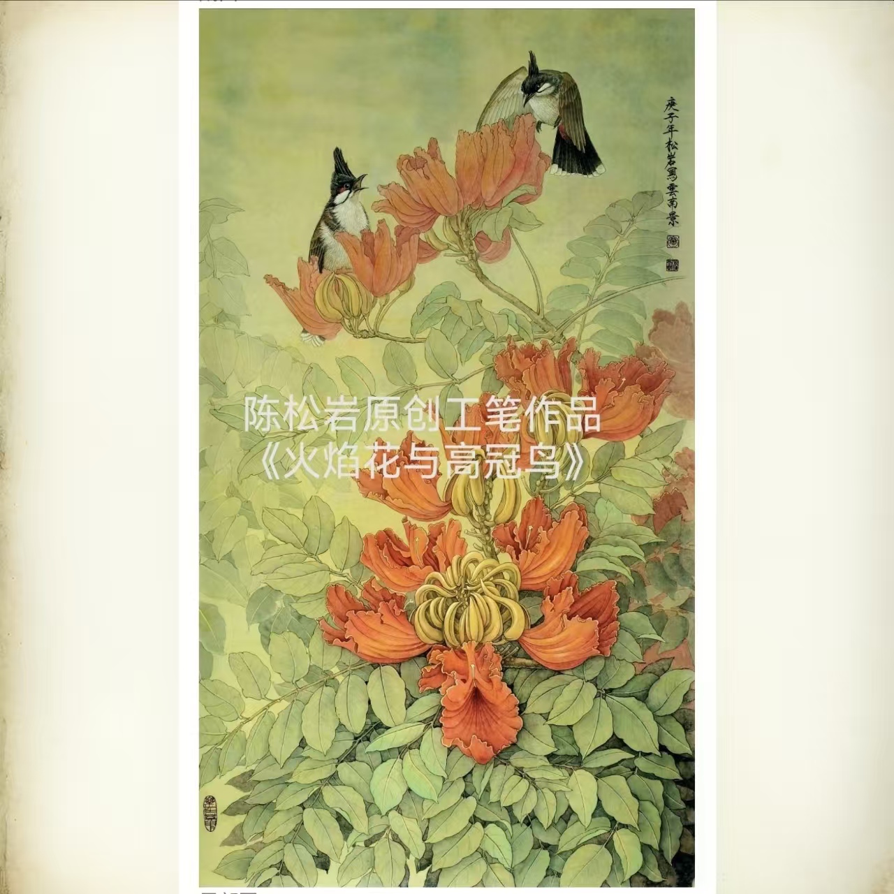 《火焰花与高冠鸟》共30讲  陈松岩原创工笔课