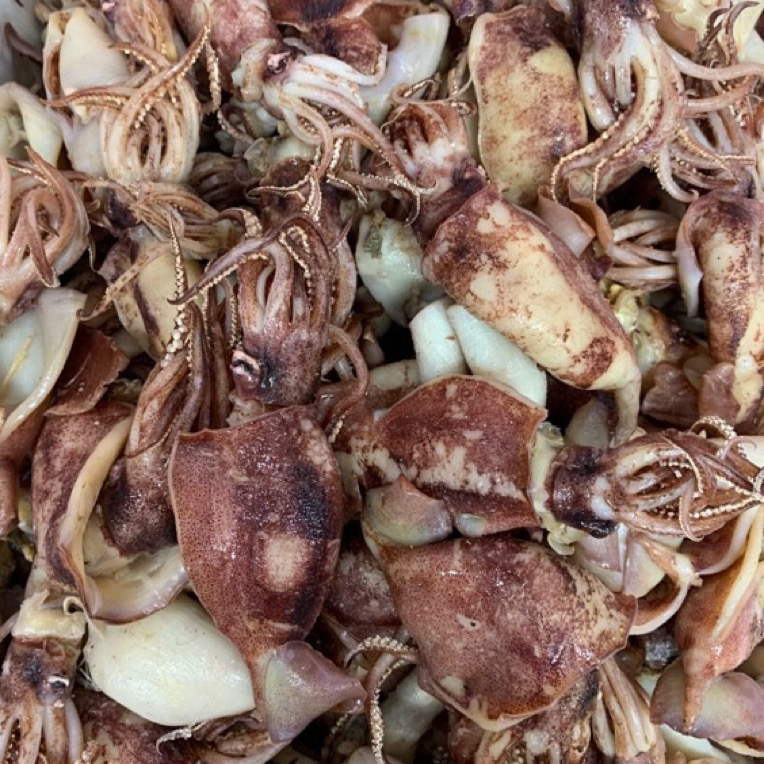 【蚝兴海味三店】本港淡晒鲍鱿鱼脆鱿筒（8成干）包邮