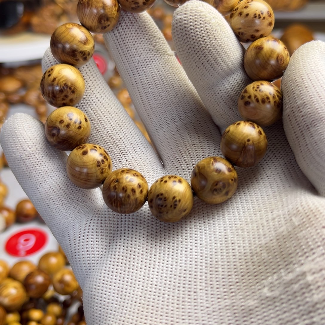 S***名柏木（崖柏）太行崖柏花串