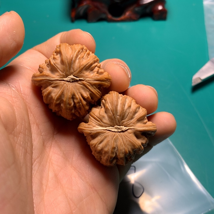 把件文玩核桃L***T白狮子