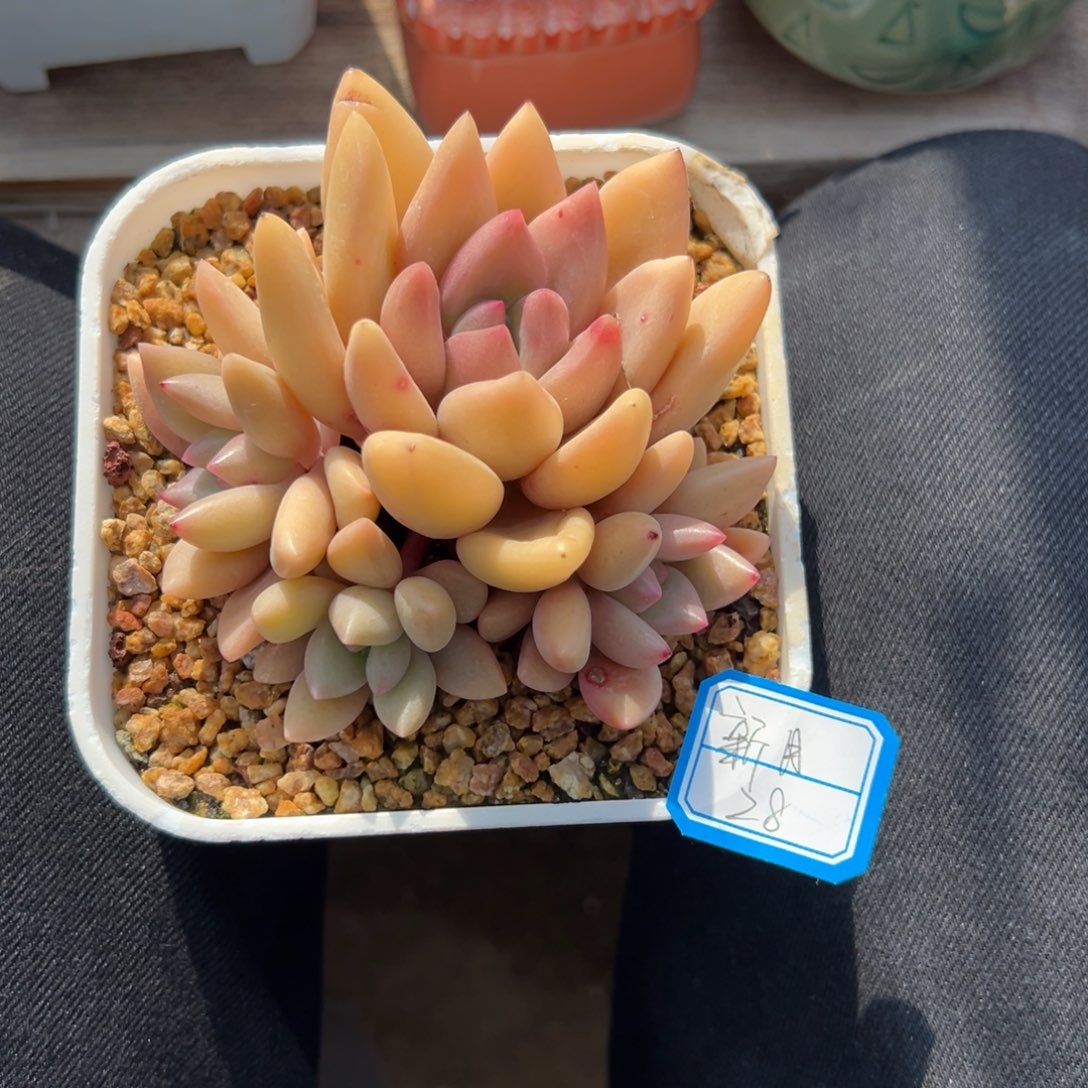 新*-111111111111111111