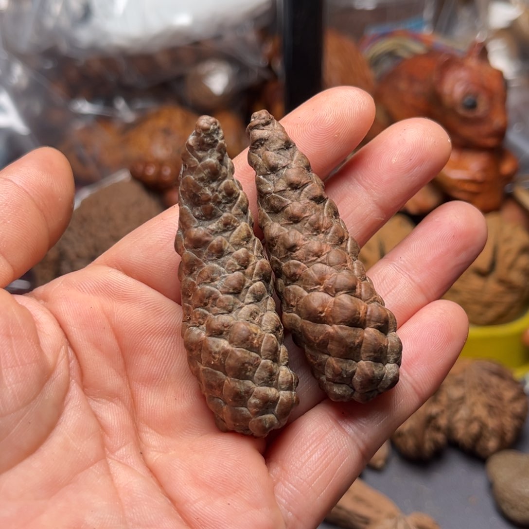 手串文玩核桃核桃84