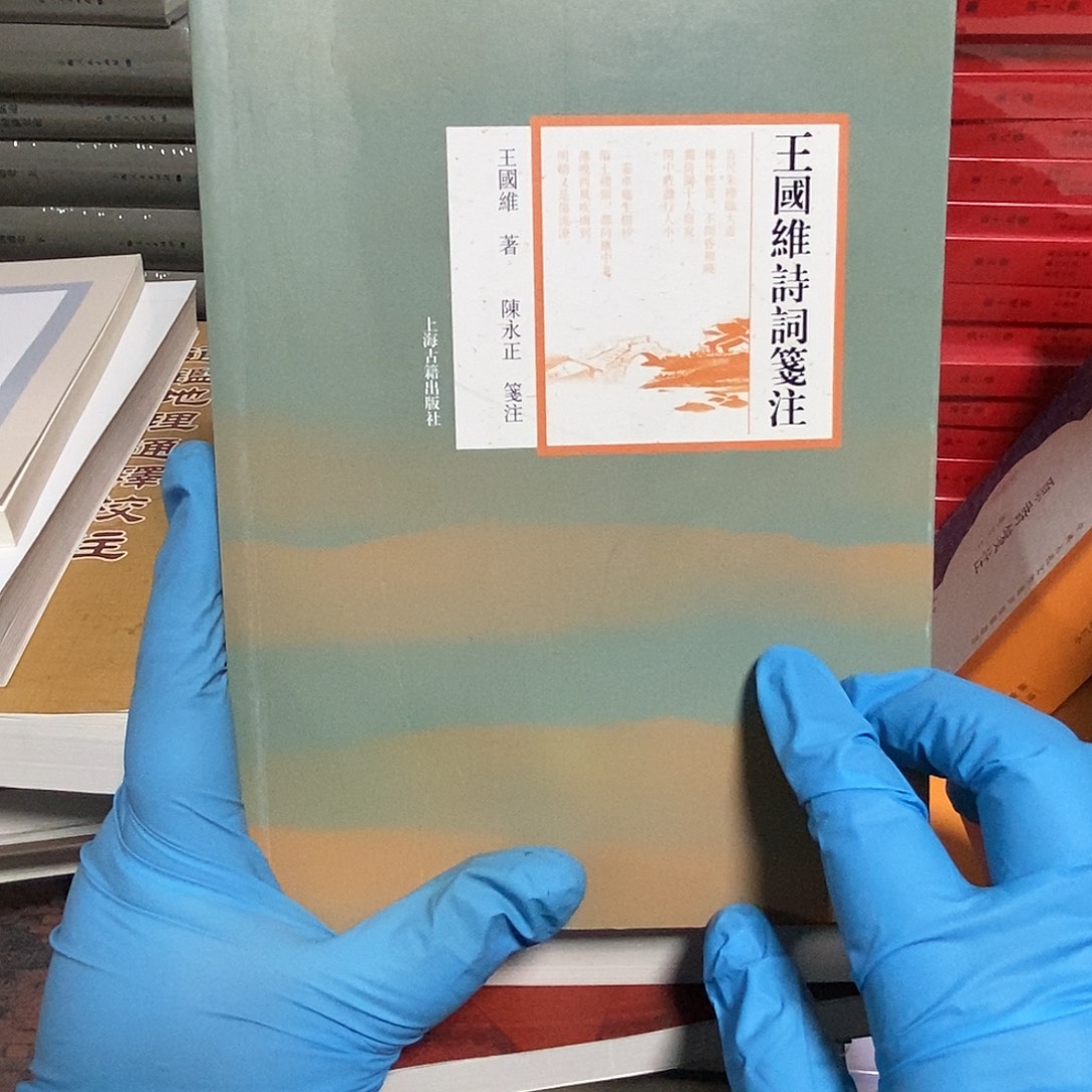 王国维诗词笺注    