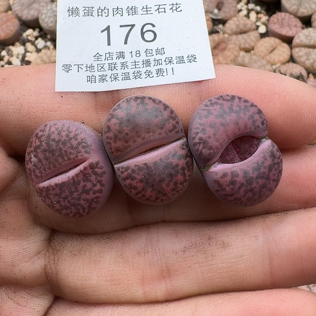 176满18包邮保温袋联系客服