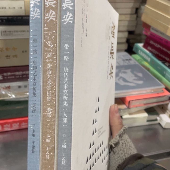 望长安唐诗艺术欣赏集全三册