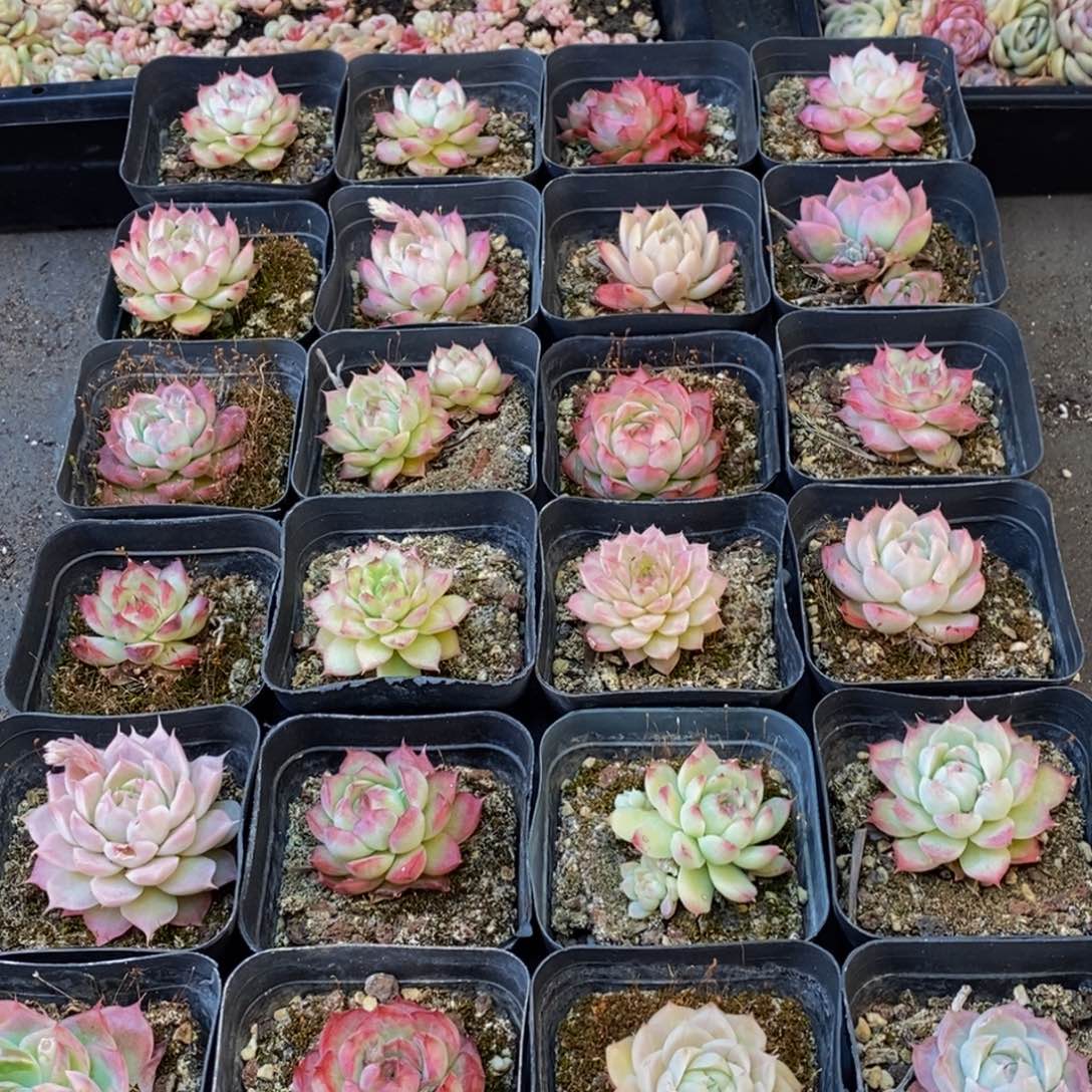 524大任务完成任务