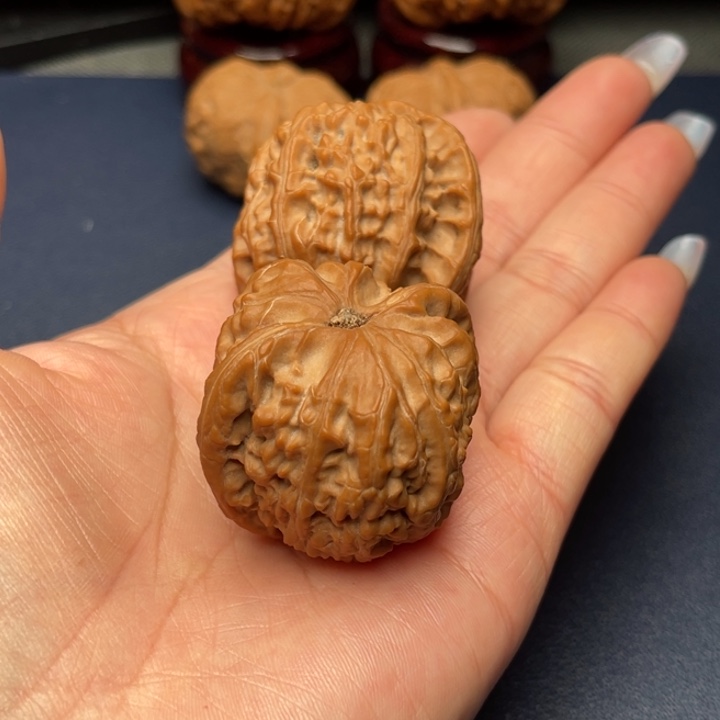 文玩核桃手串霸*。白狮子