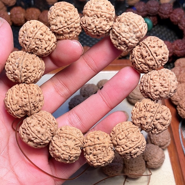 金刚菩提吊坠尼泊尔大金刚菩提