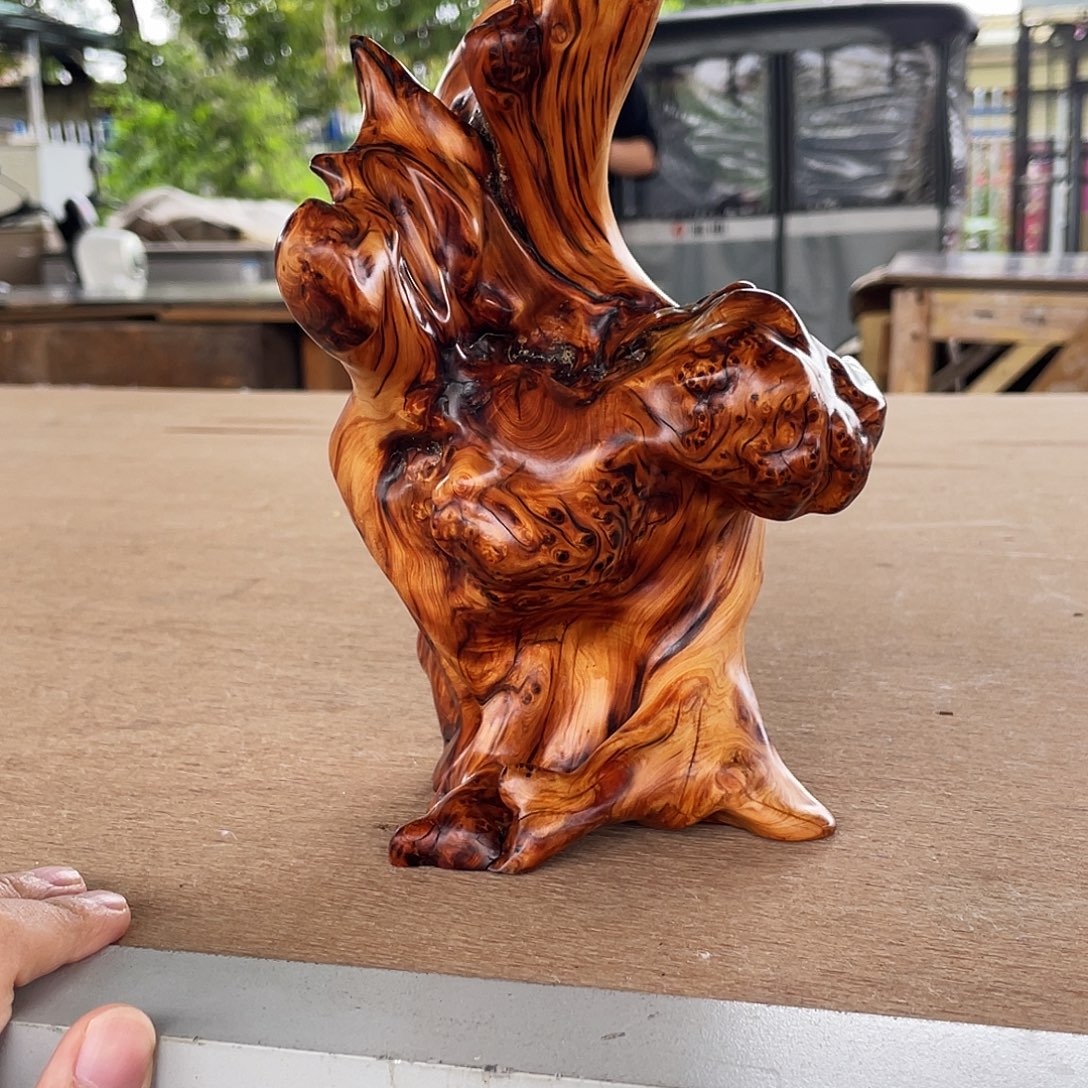 *****柏木（崖柏）太行崖柏