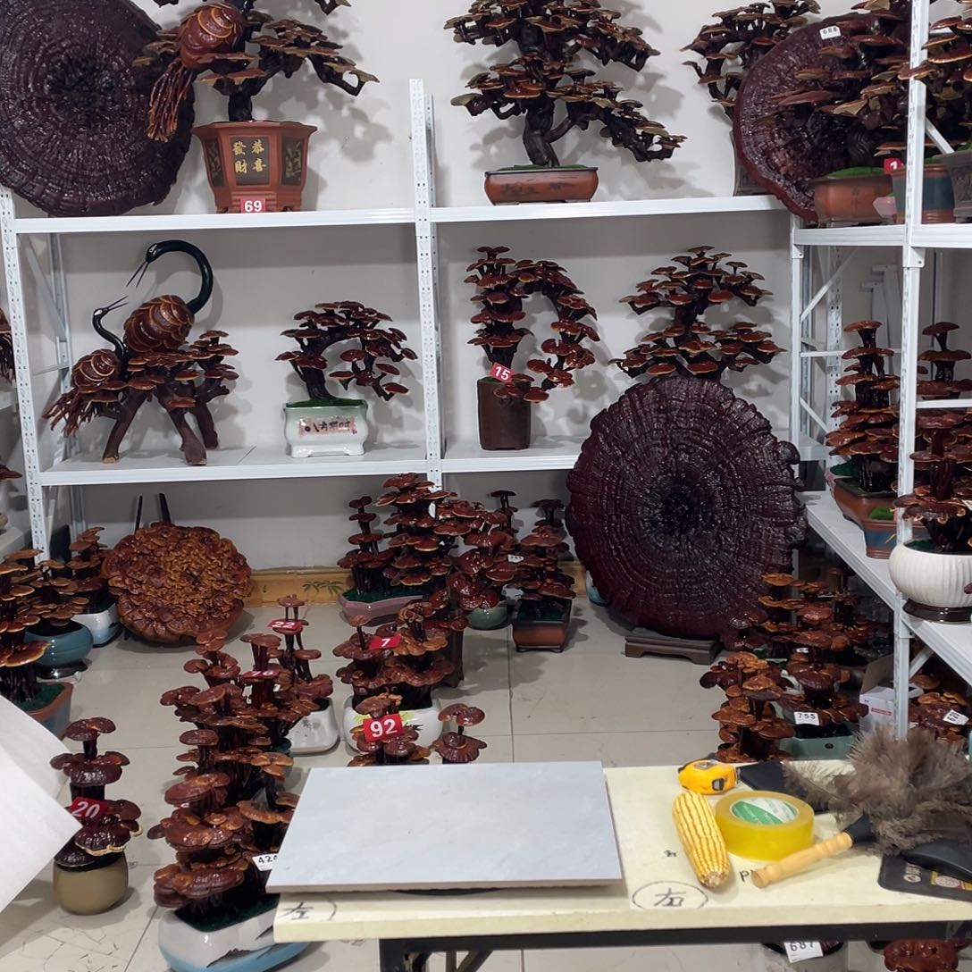 无花朵8888888888888888