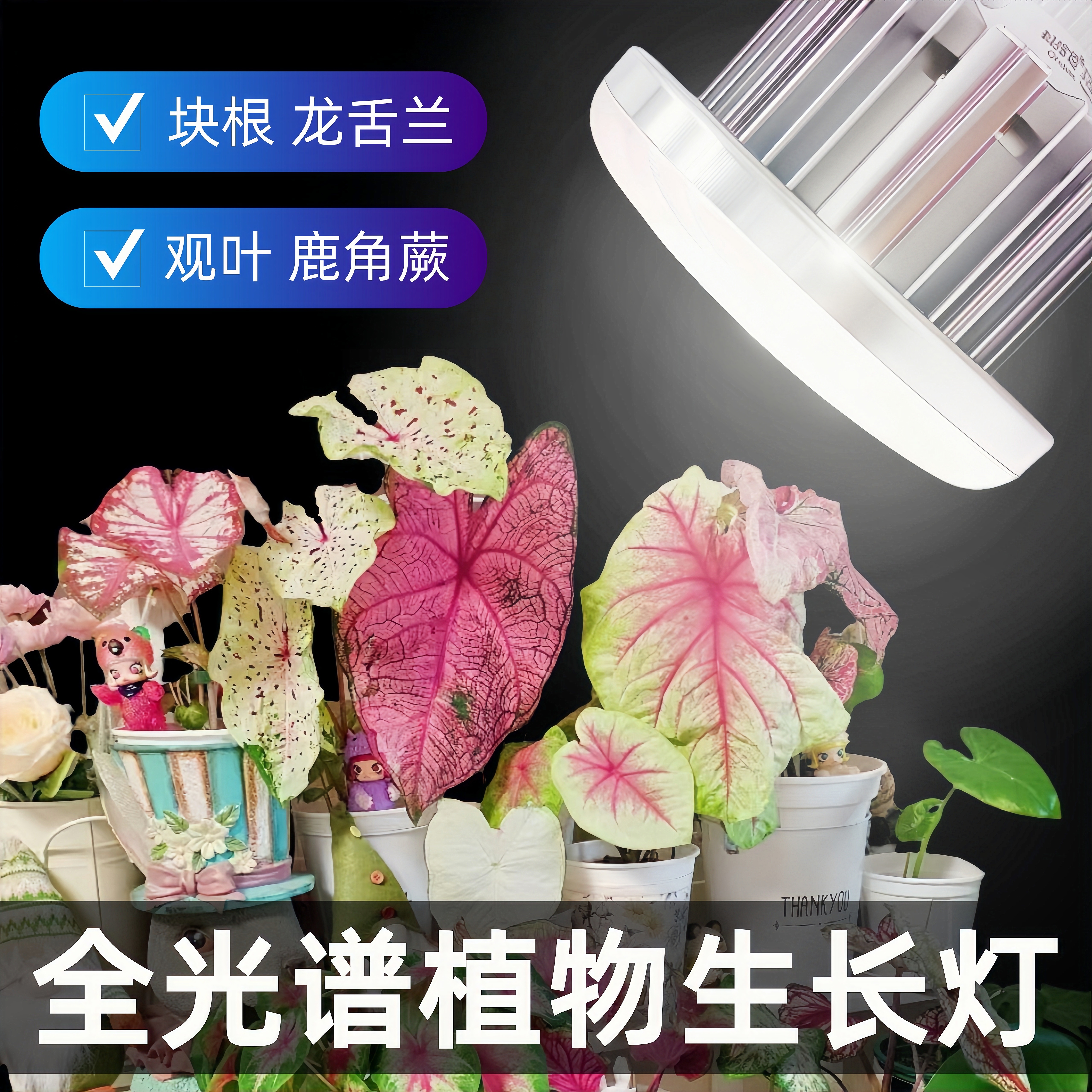 科维隆led全光谱植物补光灯鹿角蕨龙舌兰块根热植绿植植物生长灯
