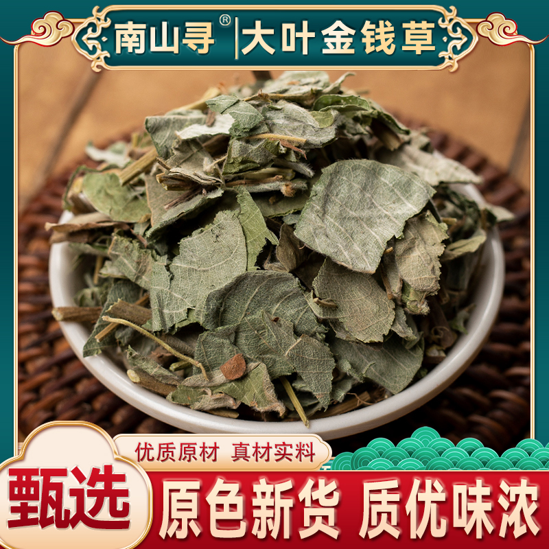 精选广西大叶金钱草 新货金钱草新鲜切段干净干货煲汤泡水