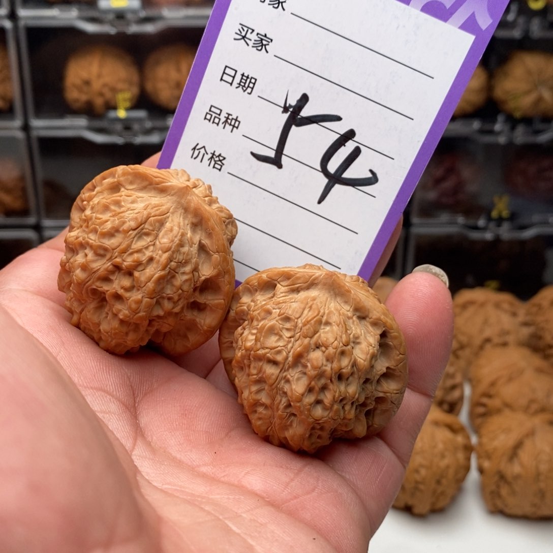 40血麒麟狮子头全品