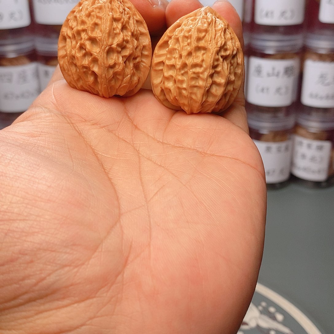 36尺寸金牛文玩核桃