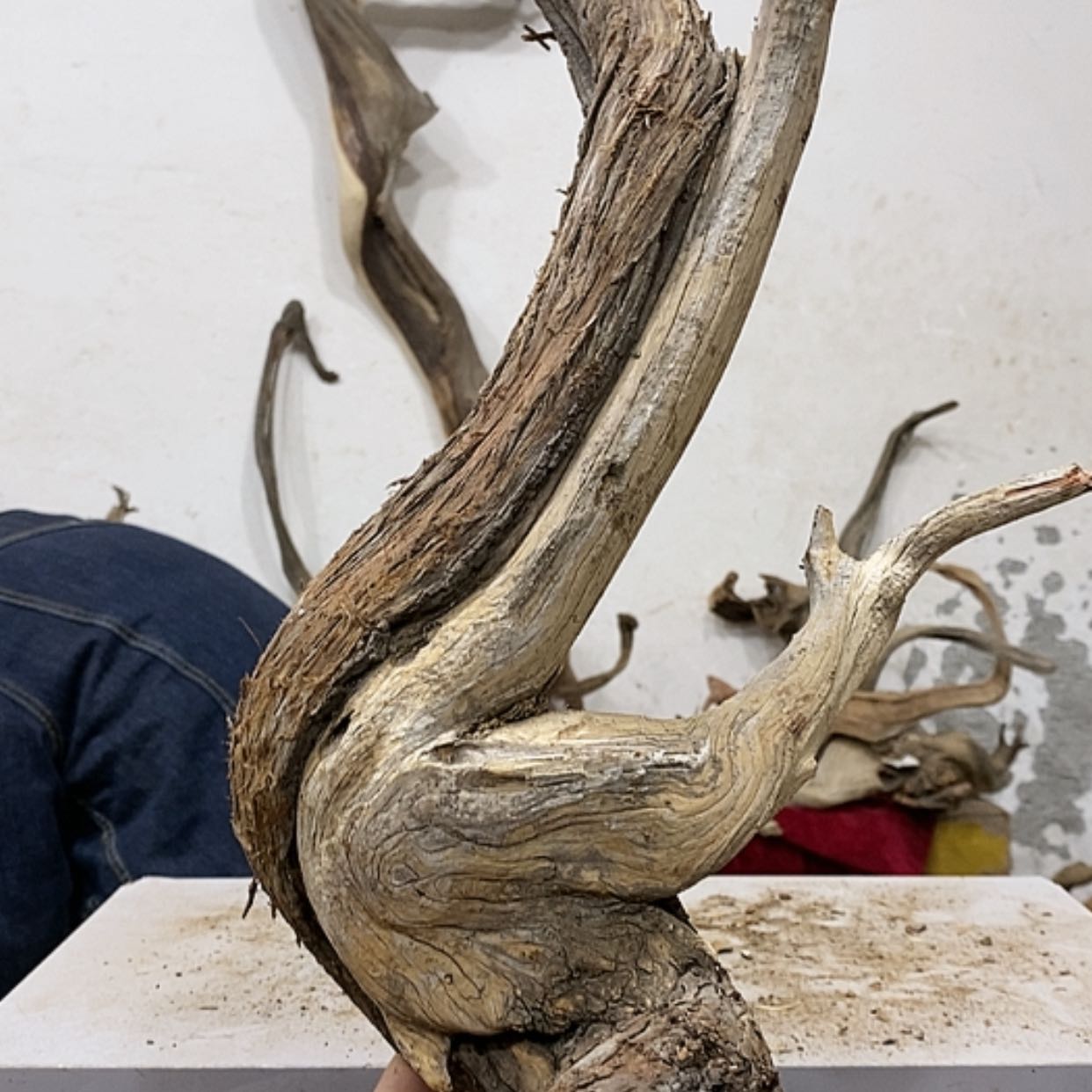 【闪购商品】柏木安*吉我们都是好孩子