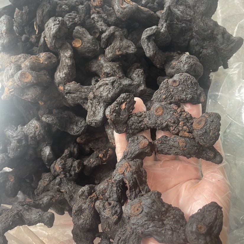 云南山货土特产九晒非香菇