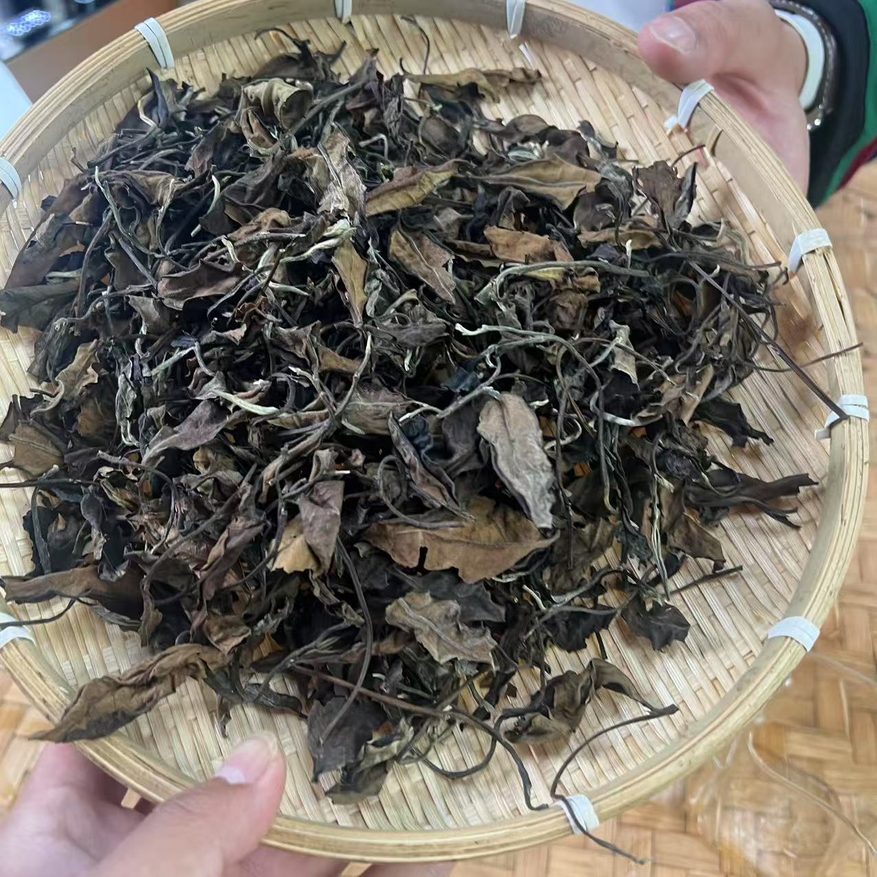 （66号茶农）曼西良/生茶/2025年/大树/散料  6-27