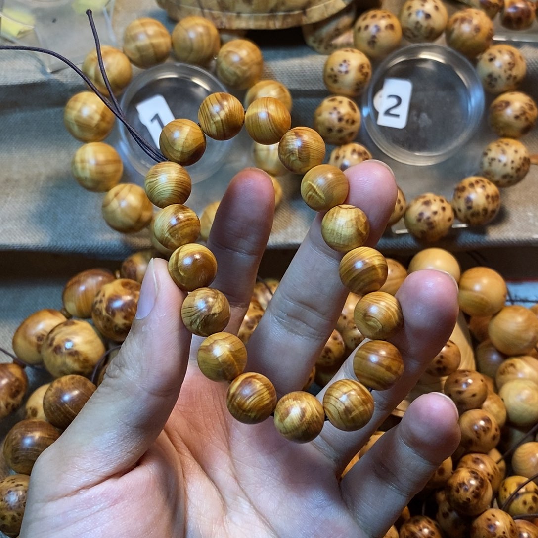 柏木（崖柏）崖柏1.2小闪电