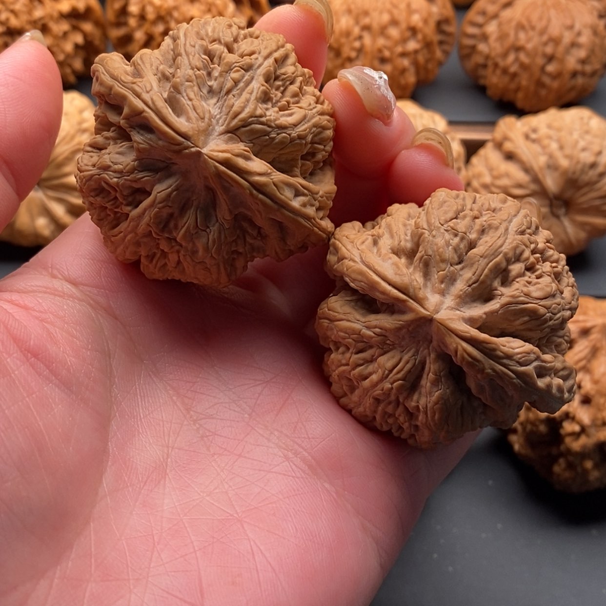 【闪购商品】文玩核桃把件粗筋47修