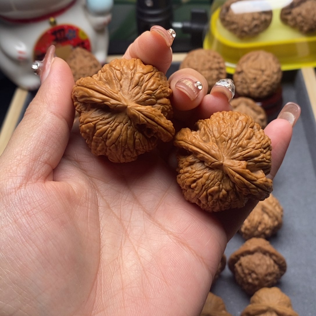 核桃白狮子，42.5尺寸