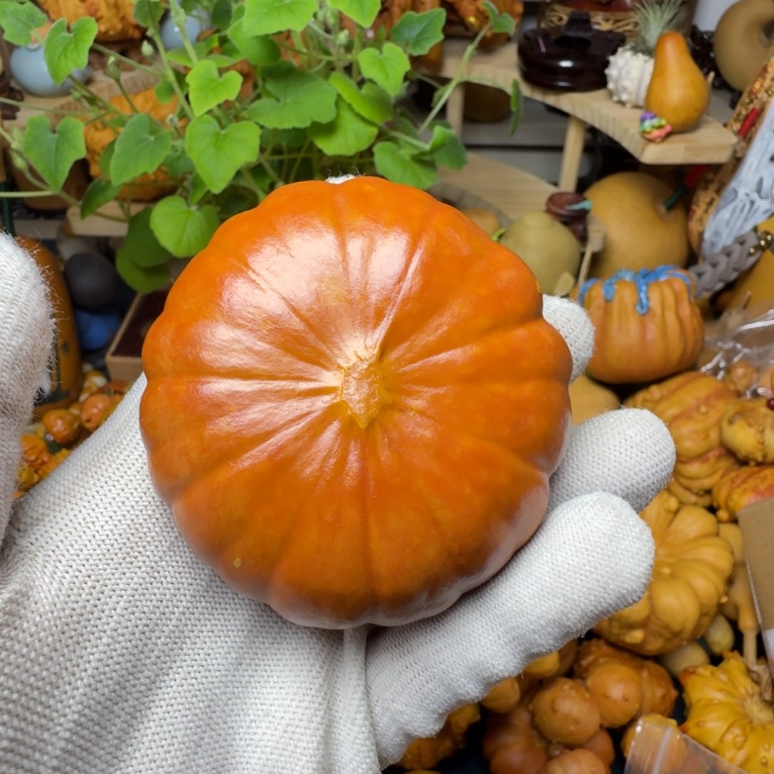 樱**道特价葫芦不退不换