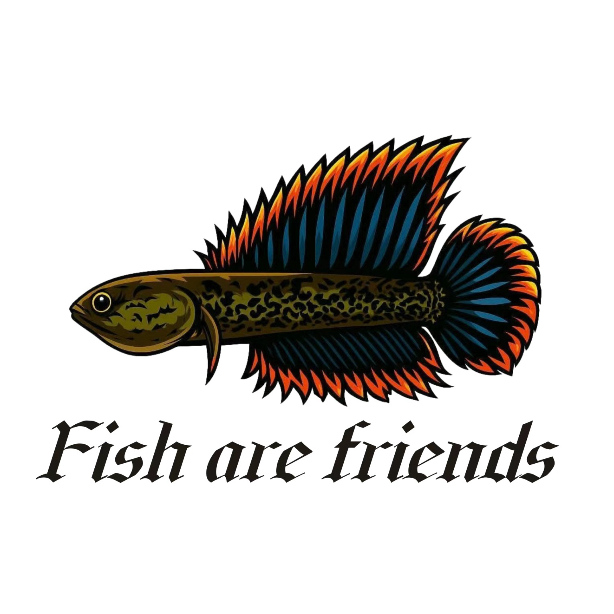 雷龙鱼一鱼一拍-专拍链接 自行下单默认发饲料10g