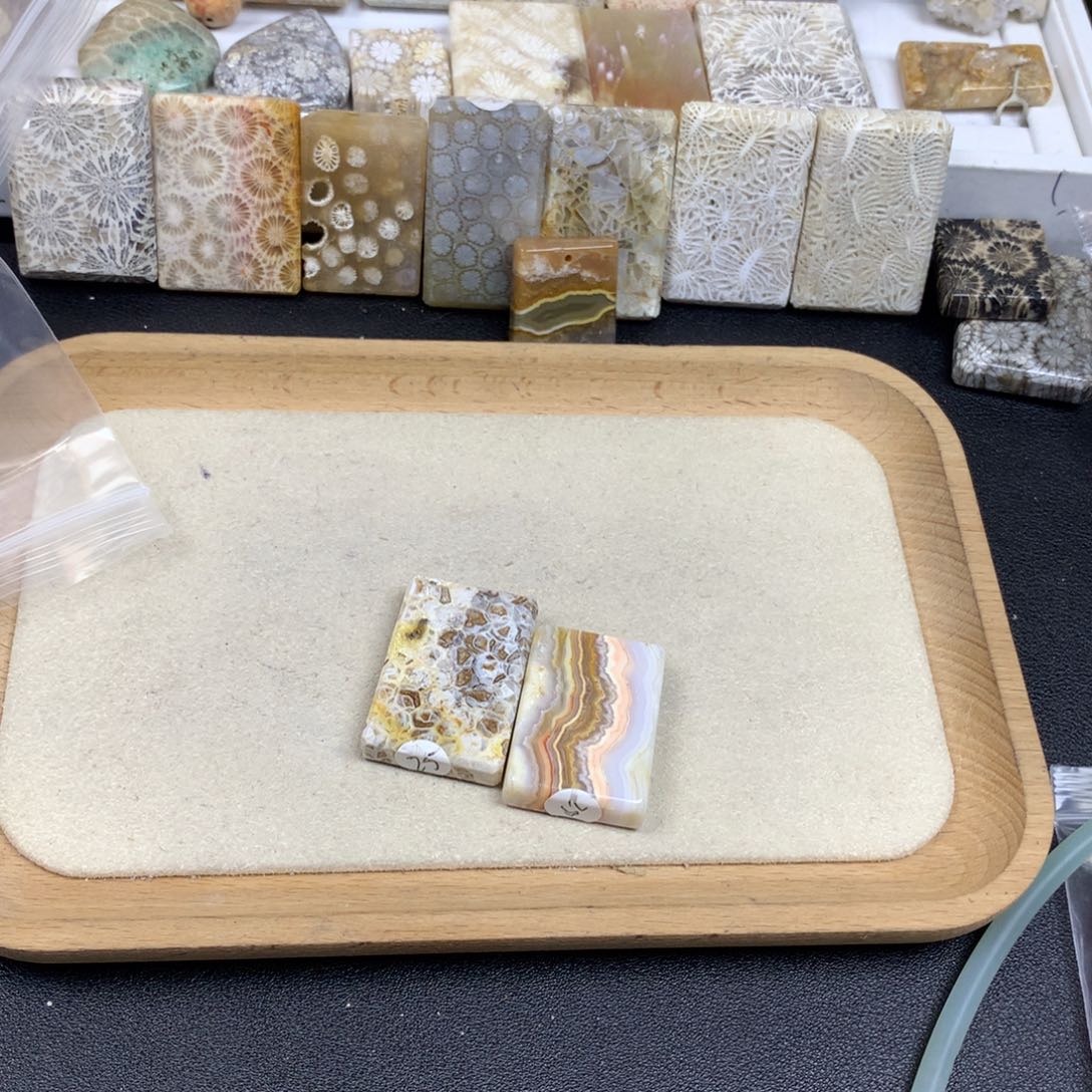 一***儿未镶嵌无硅化珊瑚（珊瑚玉）