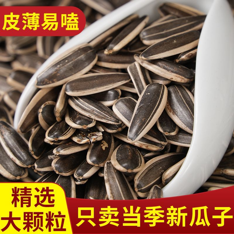 【买一斤送一斤】原味葵瓜子颗粒饱满炒熟休闲零食