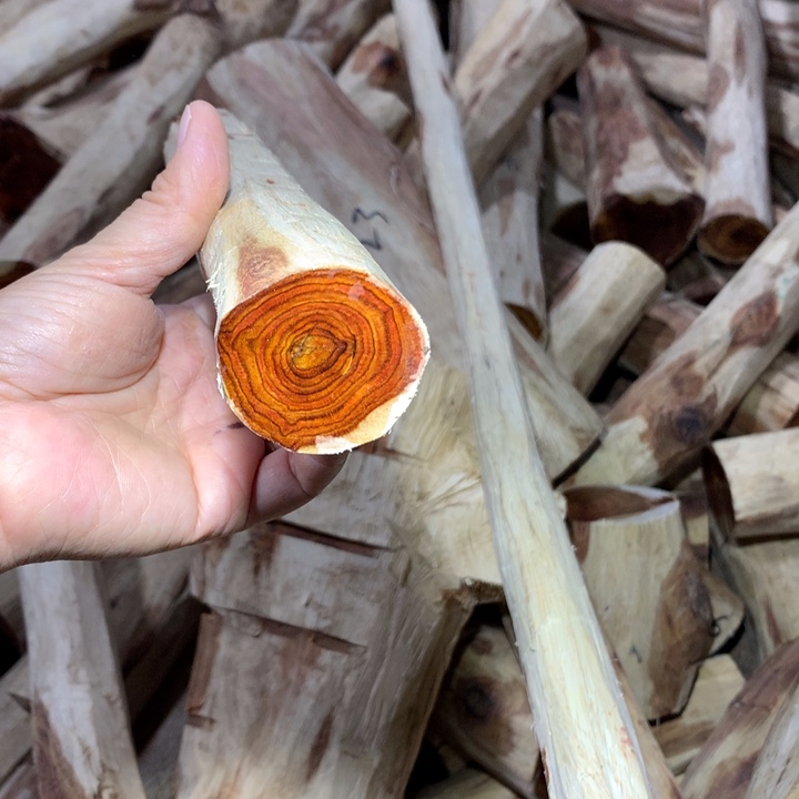 埃***佬花梨木类海南黄花梨