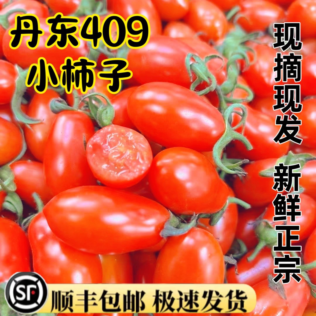 「北京新发地直发」丹东花生小柿子牛奶草莓小番茄圣女果小西红柿花生【顺丰包邮】2斤-6斤千禧圣女果辽宁省