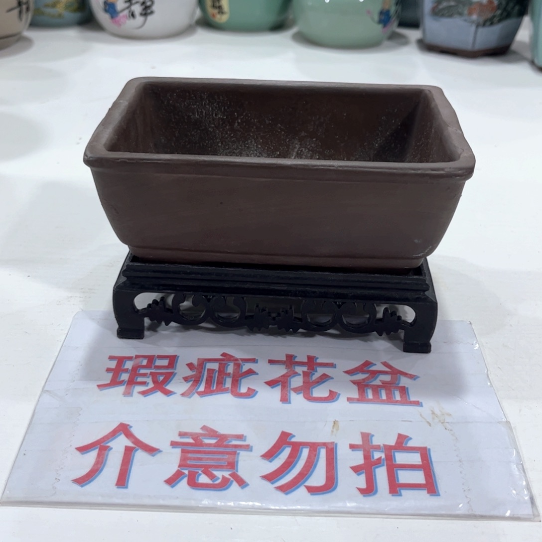 陶瓷绿植多肉花盆拍满8.8包邮发货
