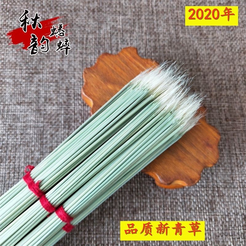 蛐蛐草蟋蟀开牙草当季新草斗蛐蛐用品用具草筒