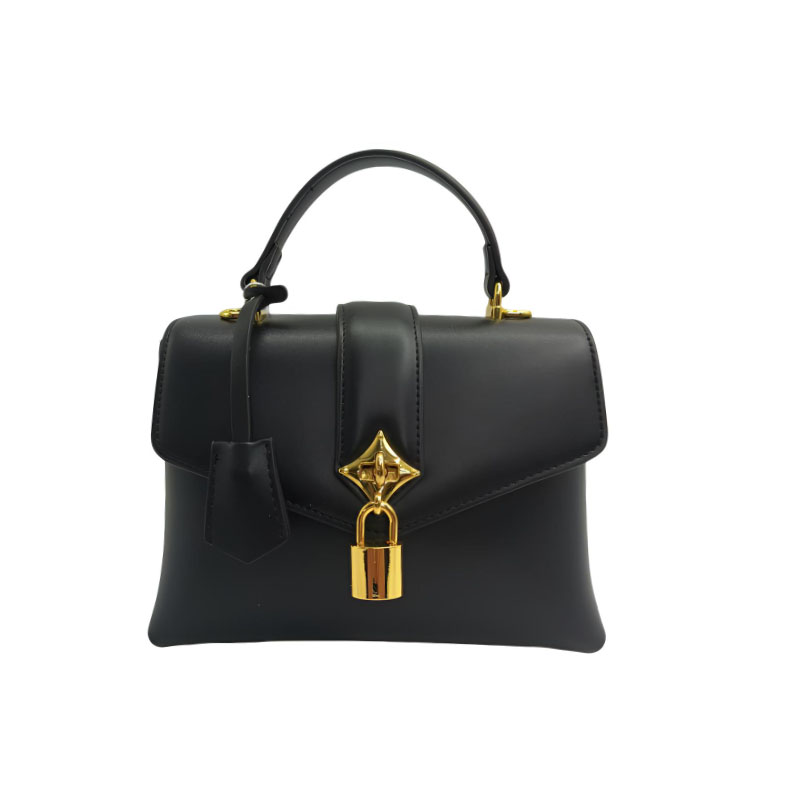 【呆哥专属】QYX-02103-黑色轻奢女士时尚新款单肩包