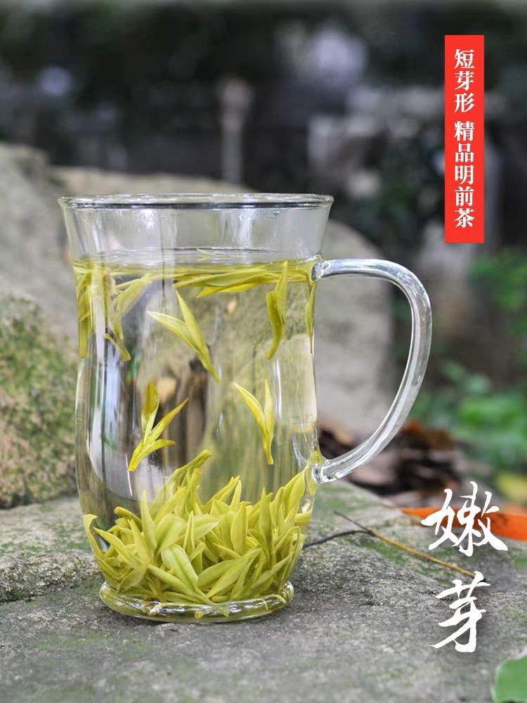 顶呱呱小芽【昆铜开园头采】25新茶原产地安吉永心白茶春茶精品品质