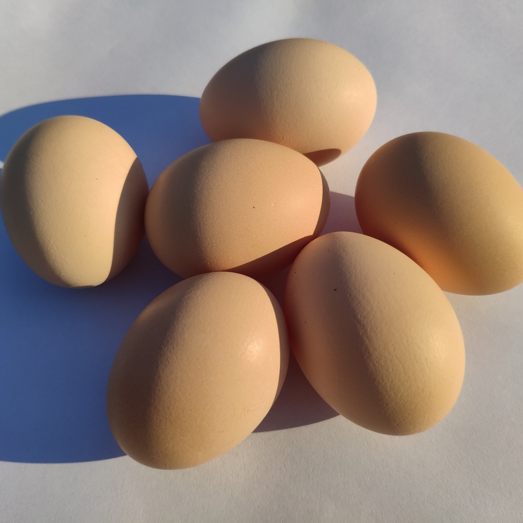 农家散养土鸡蛋无抗生素无激素无人工色素新鲜健康精选偏大40个装