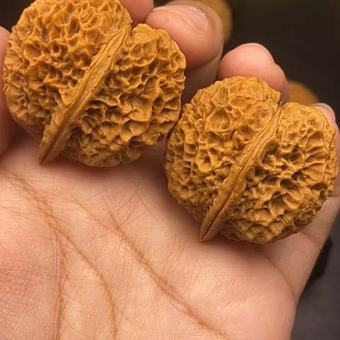 文玩核桃把件39尺荒古金蟾