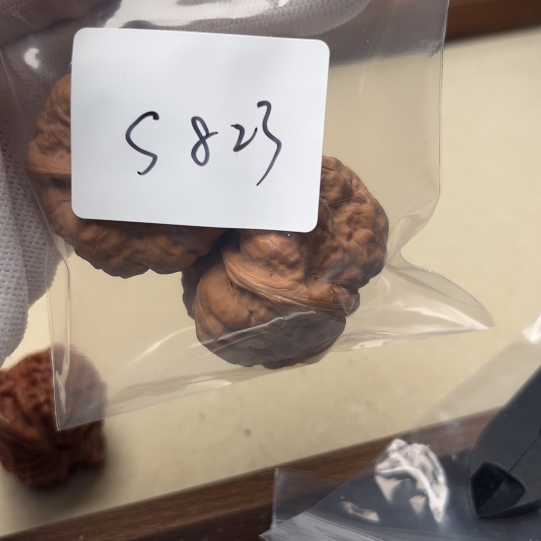 文玩核桃吊坠蛤蟆s823