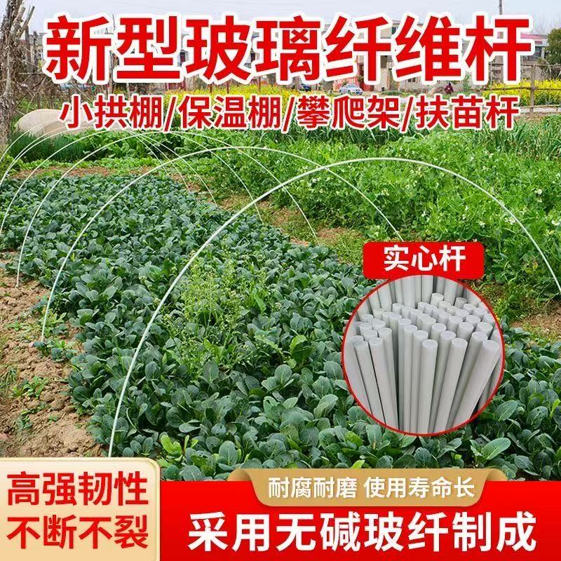 20根农用小拱棚杆实心玻璃纤维杆保温支撑杆蔬菜种植大棚菜棚支架