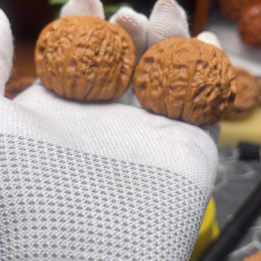 木质粒*南瓜敦狮子头全亲