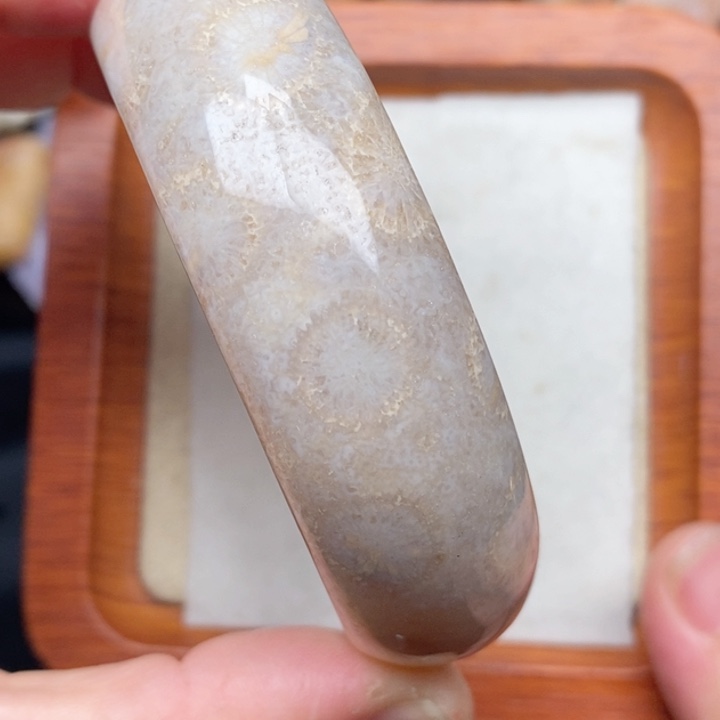 硅化珊瑚（珊瑚玉）手镯未镶嵌59