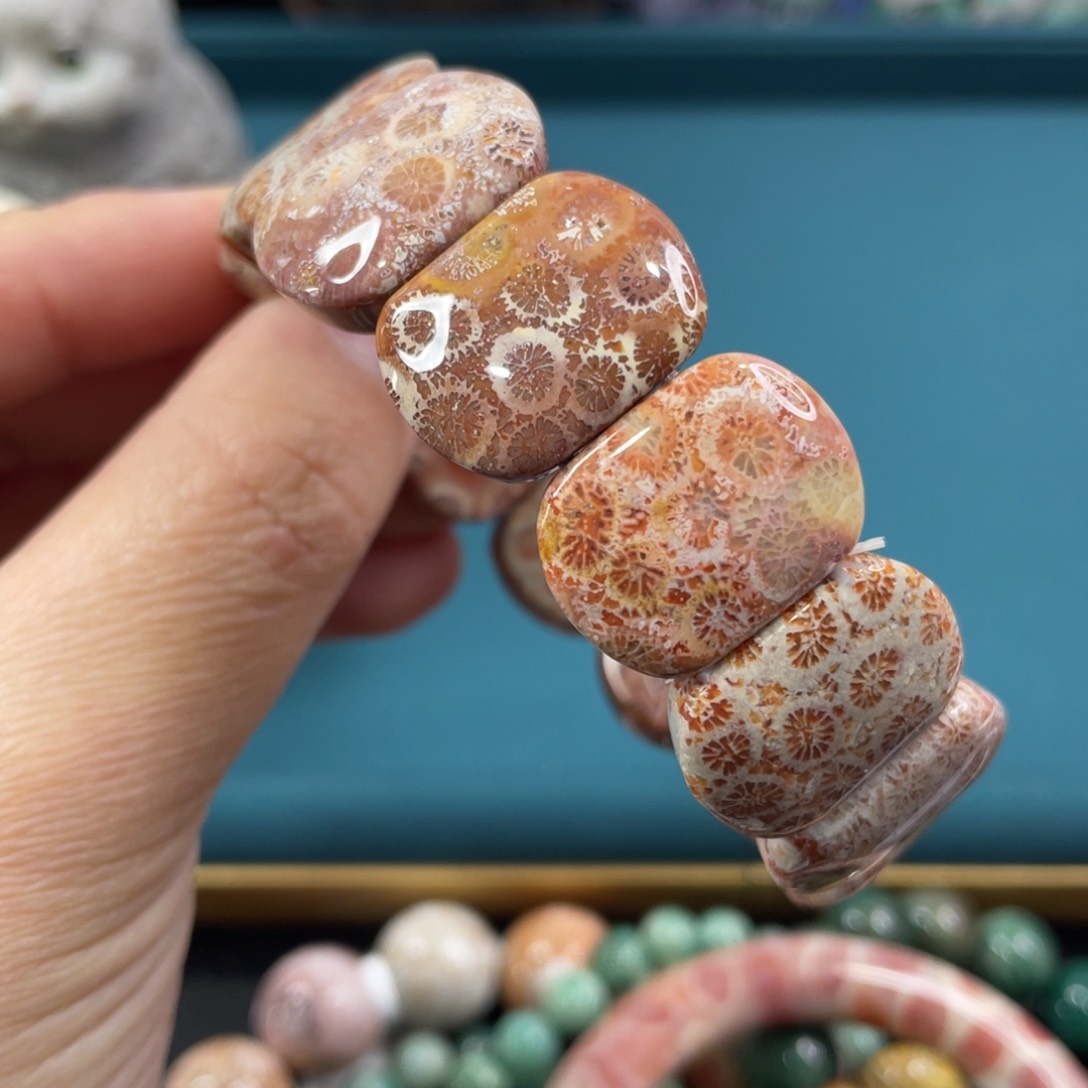 未镶嵌手镯硅化玉