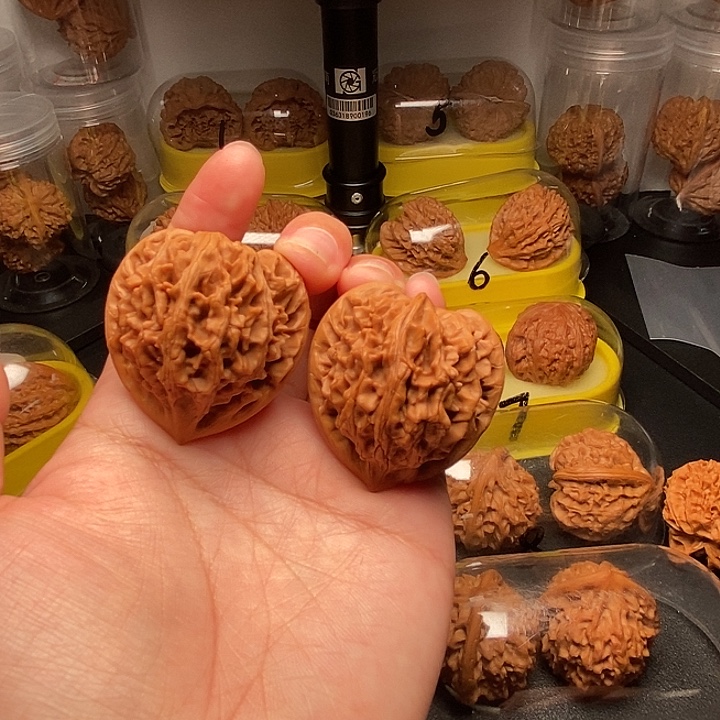 40高尖满肉龙门涧     b