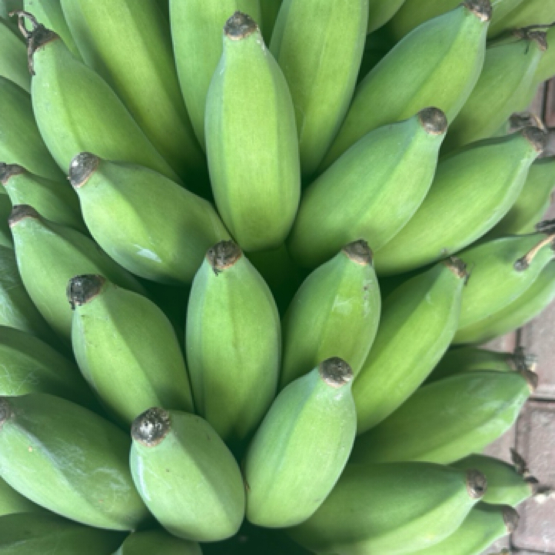 芭蕉 大集现收 农家好物