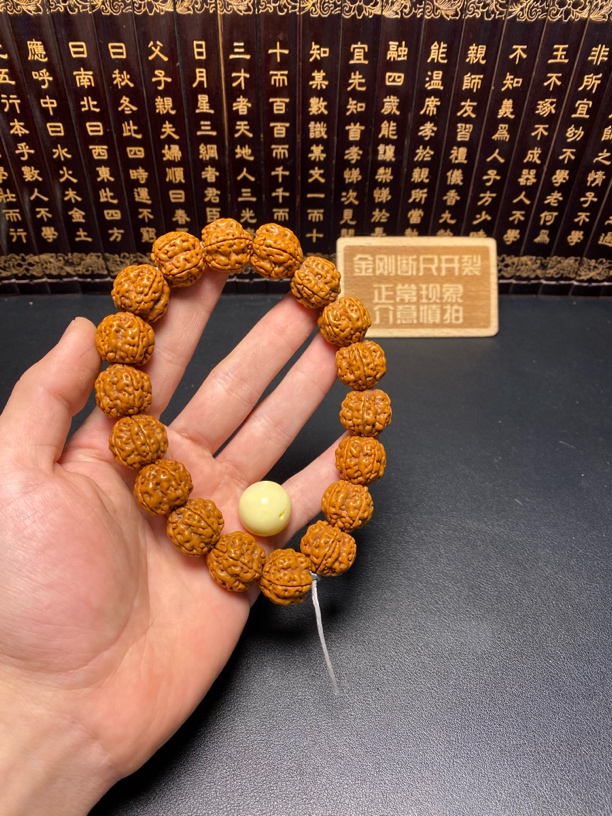 新品金刚菩提（1号）