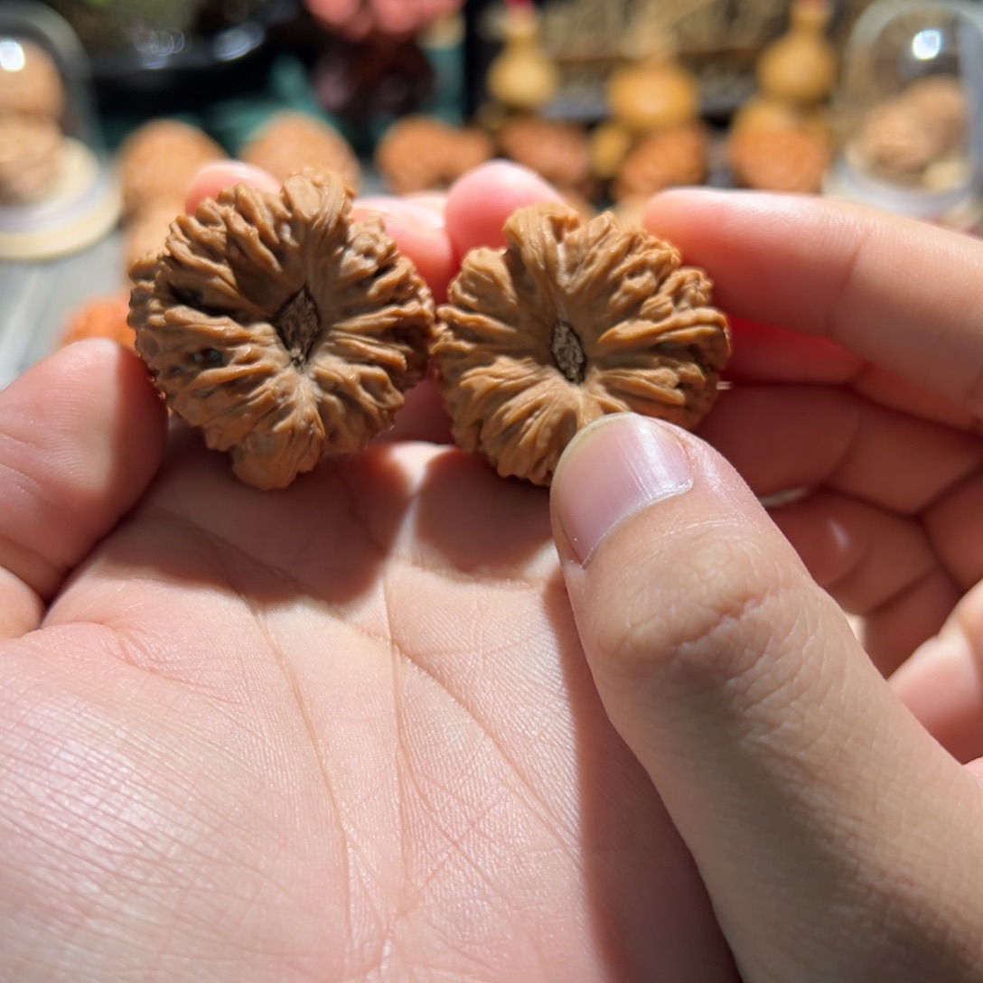 碗口凹底逐鹿南疆