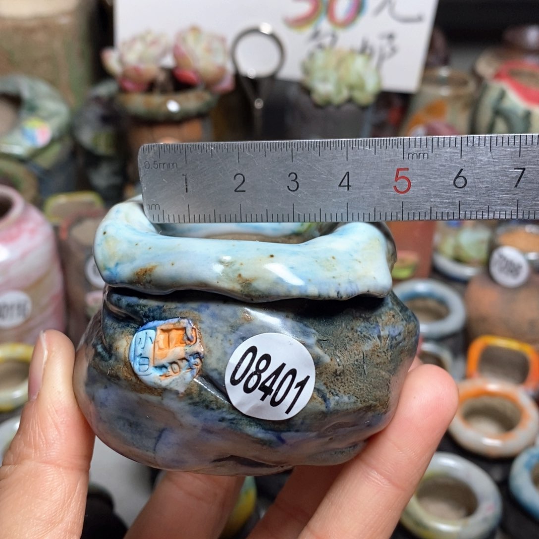 花盆拍3送一个小礼物