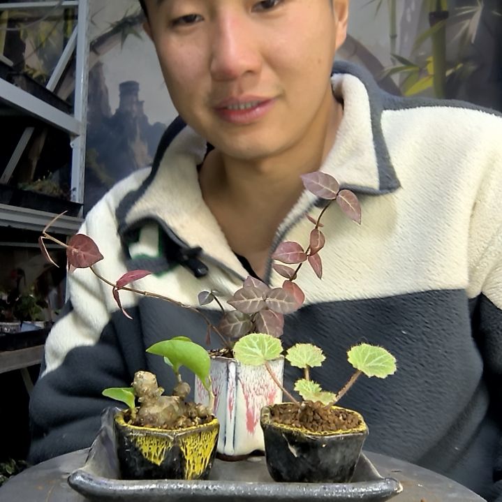 L***d中青园艺一物一拍花79