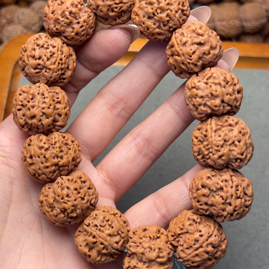 菩提1号金刚菩提满肉美股23