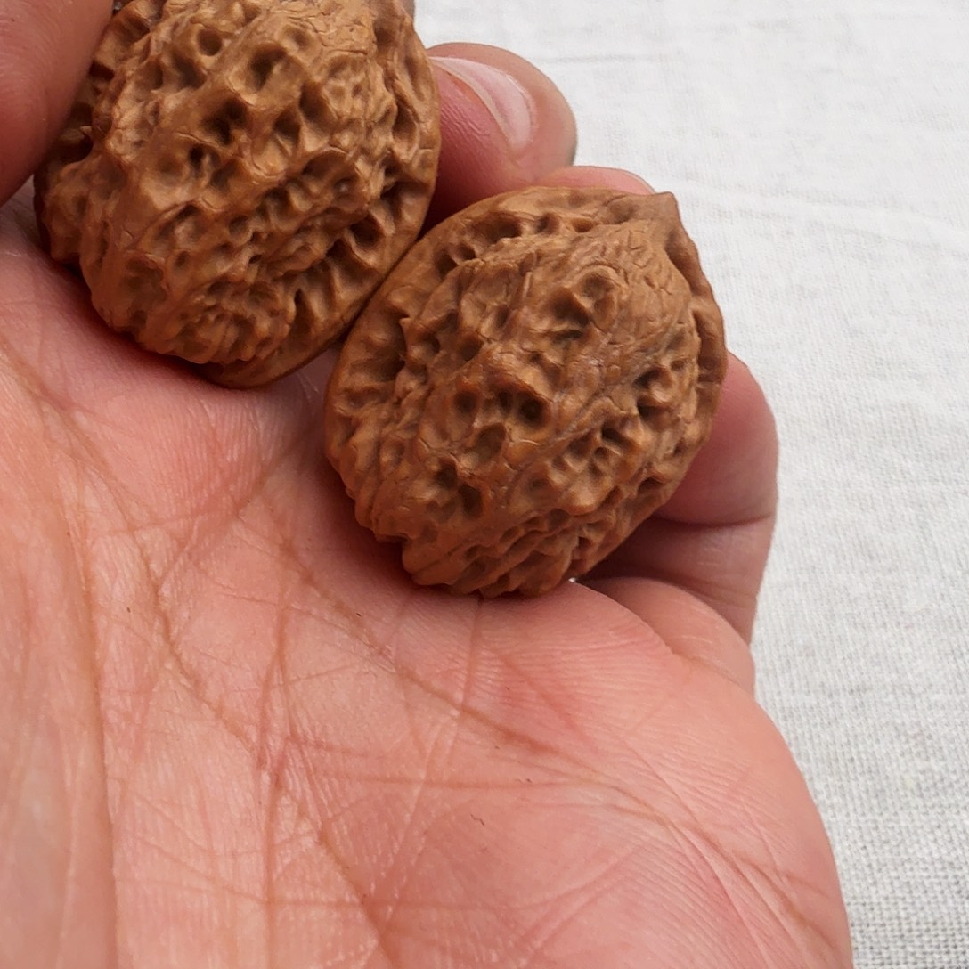 柏香籽/百香籽吊坠12